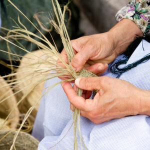 ibizaecotours.com Actividades sostenibles Experiencias corporativas Taller de esparto