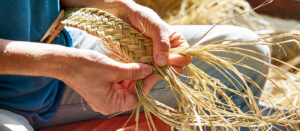 ibizaecotours.com Actividades sostenibles. Taller de esparto