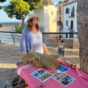 ibizaecotours.com Actividades Sostenibles Visita a Dalt Vila y taller de esparto