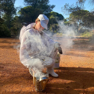 ibizaecotours.com Actividades Sostenibles Experiencias corporativas Conoce a un apicultor de Ibiza