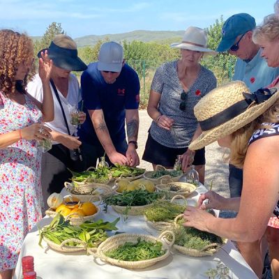 ibizaecotours.com Ibiza Eco Tours Actividades sostenibles Experiencias corporativas Taller de hierbas ibicencas